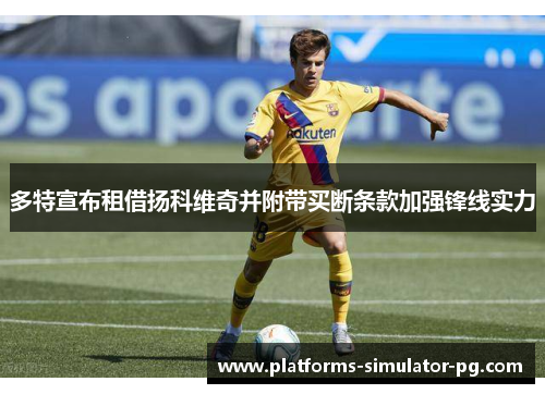 多特宣布租借扬科维奇并附带买断条款加强锋线实力